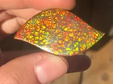 Beautiful Natural ~59 carat Ammolite Organic Gem Stone Ammonite Jewelry Piece