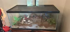 40 gallon breeder tank