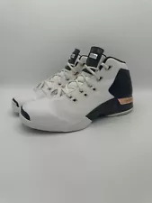 Jordan 17 “Copper” Size 9.5