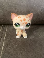 LPS SHORTHAIR CREAM LEOPARD #852 - Authentic Littlest Pet Shop - Hasbro LPS