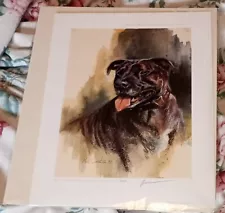 Head of a Staffordshire Bull Terrier print by Mick Cawston - Signed by Artist