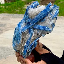 3.48LB Rare Natural blue Kyanite crystal and white quartz Rough earth minerals