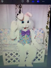 Used Easter Bunny Costume for Adult