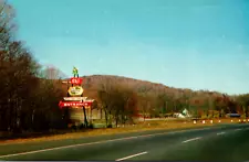 New Ashford MA Brodie Mountain Ski Area Entrance Sign Leprechaun Mascot Postcard