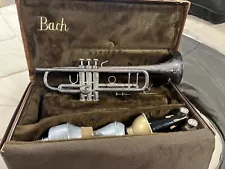 bach stradivarius trumpet 37