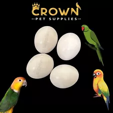 CONURES FAKE EGGS Solid Plastic FOR INDIAN RINGNECK, Dummy DOVE STOP LAYING Ct 4