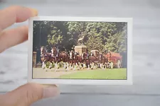 Vintage Budweiser Anheuser-Busch Clydesdales Stallions Playing Card Bridge Size