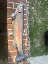 Steelhead Trout Skin Mount Taxidermy 29” Damage