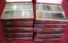 1960's Lot of ~900 Botanical Microscope Slides Medical Flowers Fine Wooden Boxes