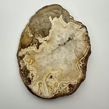 Petrified Wood Slab Grapefruit Crystal Center Washington Oregon 4 1/4” X 3 1/4”