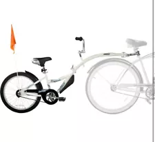 co motion sky capp tandem bike