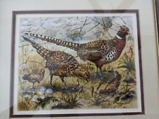 Helmut Ring Necked Pheasant