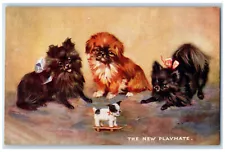 Postcard Pomeranian Terrier Pekingese Skateboard c1910 Oilette Tuck Dogs