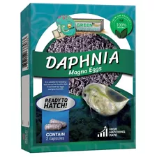 Dapnia Magna Eggs Live Fish Food for Hatching and Culture