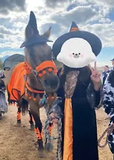 Halloween Costume For Horse