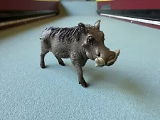 Schleich Warthog Animal Figure 14843 Boar Pig Tusks Figurine Wildlife 2020 Toy