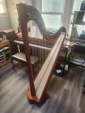 salvi harp