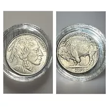 Native American Indian Head/Buffalo Nickel (Copy) In Coin Case