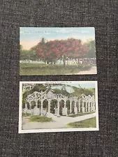 Vintage Linen Postcards St. Petersburg, FL~Royal Poinciana Tree & Shell Fence