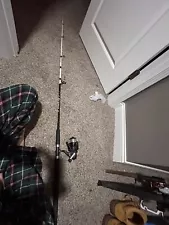 fishing rod and reel combo