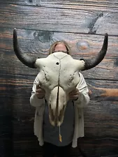 buffalo skulls for sale