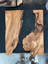 #657 Bundle OLIVE wood burl slabs for resin tray etc 200yr old 24x20 table