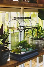 H Potter WAR150 Terrarium Glass Wardian Case Plant Container Miniature Garden