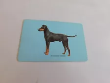 VINTAGE WOOLWORTH CARD MANCHESTER TERRIER/BLUE