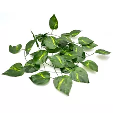 Jungle Reptile Vine For Terrarium Reptile Decor Plants XYZReptiles