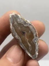 Neutral Toned Polished Kentucky Agate Mini Specimen