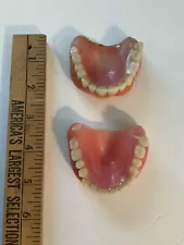 Vintage False Teeth