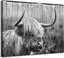 Black and White Highland Cow Picture Canvas Wall Art for Rustic Home Decor 15X12