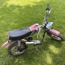 1975 Original Survivor Rupp Roadster II Mini Bike Minibike Roller