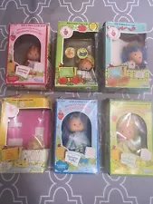 Vintage Strawberry Shortcake Doll Lot W/ Pets, Inserts & Boxes!