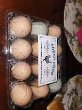 New Listing12 Barnyard Mix chicken hatching eggs for sale. NPIP Certified.