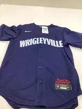 Chicago Cubs Stitched City Connect Blank Nike Jersey Medium New With Tags