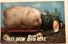 Exaggerated Farm Tractor Pulling Huge Potato on Wagon