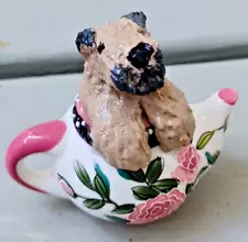 Soft Coated Wheaten Terrier Puppy in a Miniature Teapot!