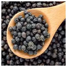 Black Pepper/Peppercorn/Piper Nigrum/Heirloom Planting Seeds - 100 Seeds