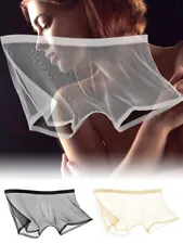 Mens See Through Sexy Briefs Sheer Boxer Mesh Underwear Shorts Trunks Underpants