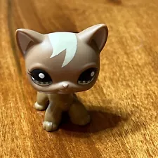 SHORTHAIR CAT #1170 - Littlest Pet Shop - Hasbro LPS Brown Caramel