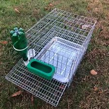 Quail Coturnix Laying Bird Breeding Cage W/ Egg Roll Out, Feeder, Drinker, Tray