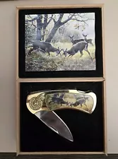 White Tail Deer Collector Knife & Box Set