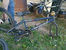 GT Bump Bmx Bike