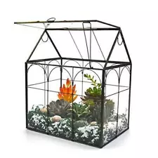 Large Tall Plant Terrarium Glass – Glass Greenhouse Terrarium with