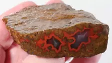 Morocco Kerrouchen Agate lapidary 3.3 oz. windowed rough Lot E7