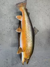 33” Brown Trout Taxidermy Mount