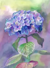 New Listingoriginal painting 30 x 40 cm 155PV artwork Watercolor hydrangea flower