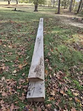 115 Year Old Oak Beams