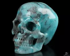 Gemstone Huge 4.1" Amazonite Carved Crystal Skull, Super Realistic